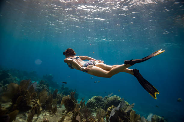 istock Woman snorkeling Cozumel reef 1455078749
