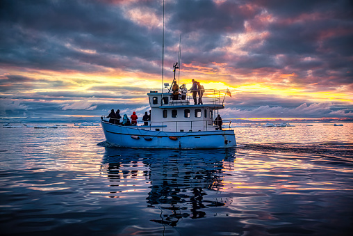 tourist boat with unrecognizable people sailing at night to see the midgnight sun and whales between the icebergs at Ilulissat Icefjord, Disko Bay, Greenland