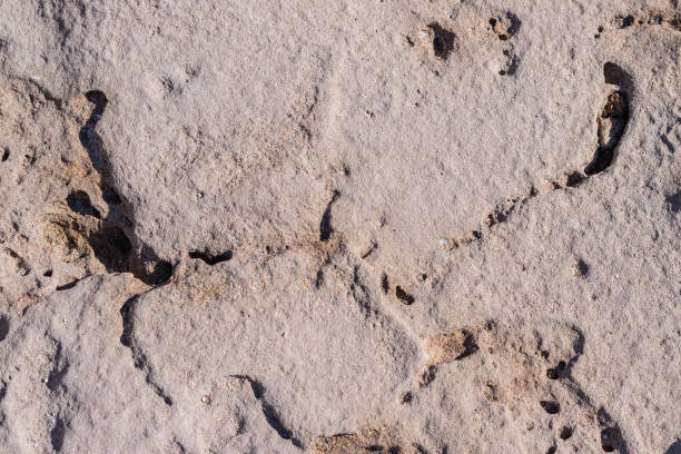 istock textured background brown stone with cracks on the surface. copy space. abstract stone background for design. sea stone. 1455083197