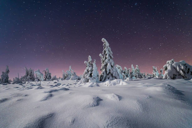 istock Snowy winter night in mountains 1455083514