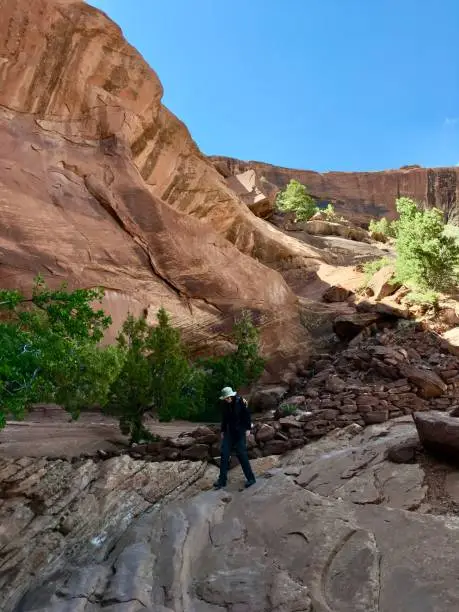 Photo of White House Ruin rocky trail