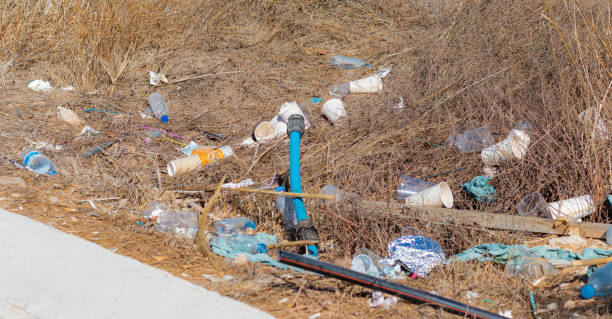 istock trash concept in nature. scattered plastic debris in the environment. environmental pollution concept. protection of nature from plastic. 1455083995