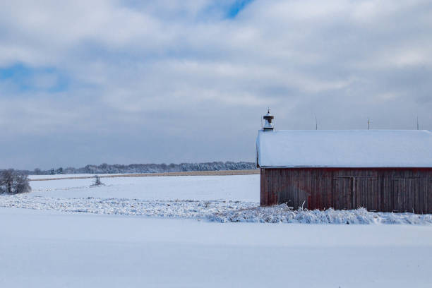 istock Wisconsin cornfield and barn covered with snow after a December storm 1455086714