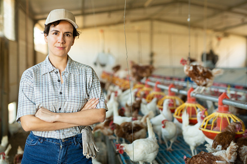 Confident young hispanic woman poultry farm owner standing with arms crossed in henhouse near cages and hanging feeders for laying hens
