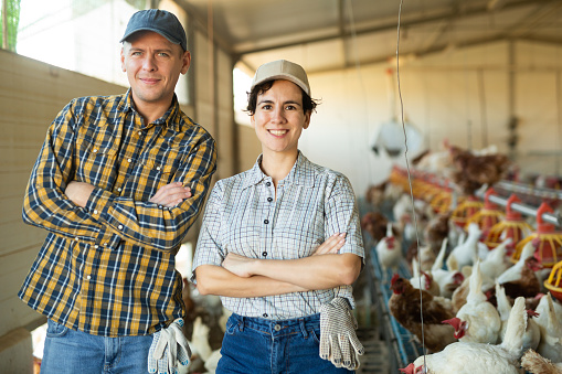 Portrait of happy successful biracial couple of farmers breeding laying hens in poultry farm, posing together in henhouse
