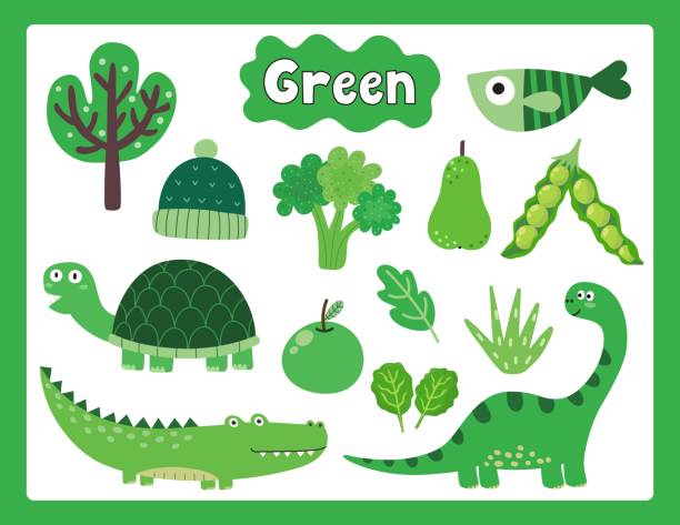 ilustrações de stock, clip art, desenhos animados e ícones de set of green color objects. primary colors flashcard with green elements - primary colours