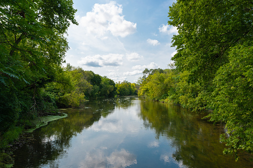 A serene river flows through lush trees under a sunny sky on a beautiful day, creating a picturesque natural landscape with a tranquil liquid presence