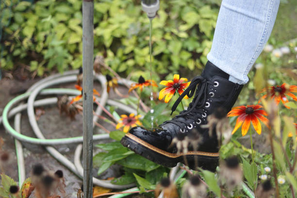 Woman washing black leather lace-up boots under water tap in garden. Water drops on the shoes. Leg wearing jeance and boots. Garden flowers Woman washing black leather lace-up boots under water tap in garden. Water drops on the shoes. Leg wearing jeance and boots. Garden flowers lace up stock pictures, royalty-free photos & images