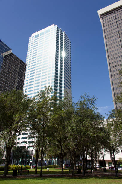 istock Tampa Downtown Skyscrapers And A Park 1455095856