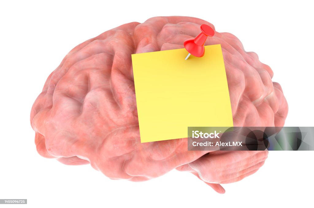 Brain With Sticky Notes Brain With Push Pin And Blank Sticky Note 3d Rendering Stock Photo ...