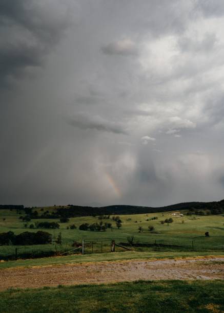 Developing storm clouds over a wheat field in rural Alberta, Canada