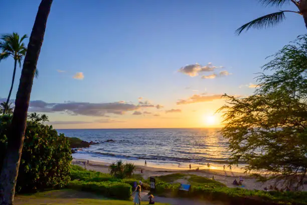 Sunset illuminating the sky and the water with children  in the foreground.  Sunset over Wailea Beach in Maui, Hawaii with trees framing the scene.