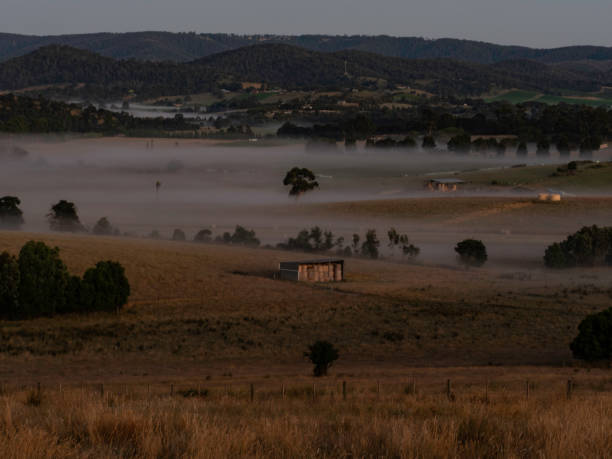 brouillard matinal dans une vallée - horizon over water white green blue photos et images de collection