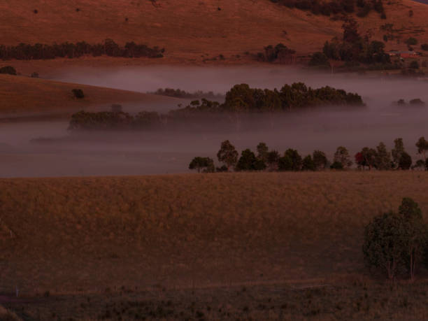 istock Morning fog in a valley 1455105788