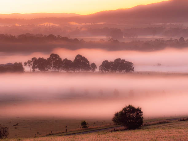 istock Morning fog in a valley 1455105791