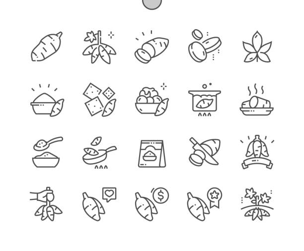 Cassava root. Cooking, recipes and price. Nature vegetable organic food nutrition. Cassava crisps. Pixel Perfect Vector Thin Line Icons. Simple Minimal Pictogram