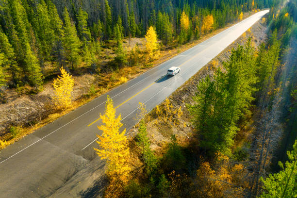 A drone view of a road in the middle of a forest. A car on the road. A straight road among the trees. Autumn forest. A straight highway. Autumn time. stock photo