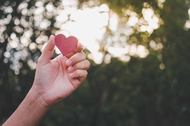 istock human hand holds red heart shaped wood piece 1455113490