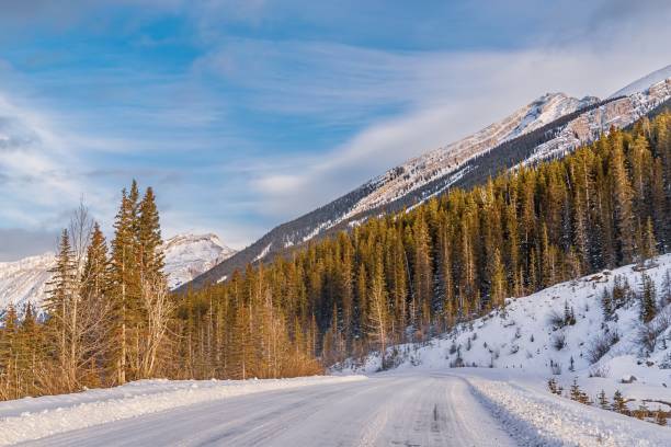 istock Snowy Road Through The Canmore Mountains 1455114568