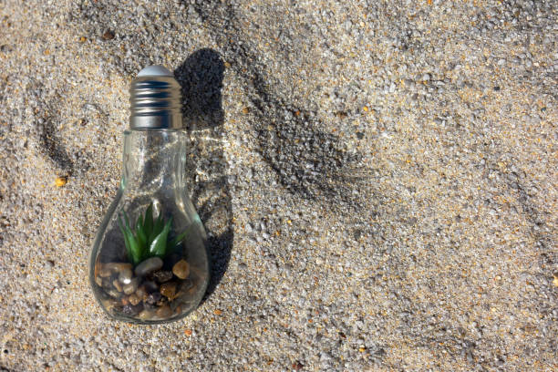 A light bulb lies on the sand against the background of water. Inside the lamp are stones and greenery. Sunlight. Ecology. Ecosystem. Energy saving. Environmental protection. Alternative energy sources. Idea. Innovation. Energy. Concept. Light. Sunny. Renewable.