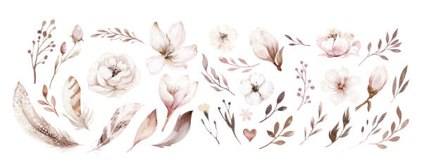 istock Watercolor boho blossom flower and feather set. Spring or summer decoration floral bohemian design. Watercolour isolated. foliage illustration with cherry, green leaf, feather. Botanical aquarelle 1455118522