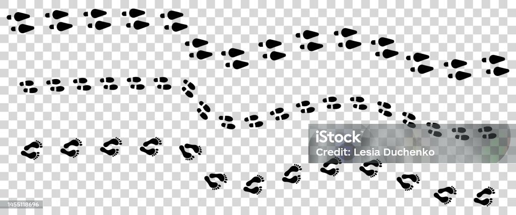 Set Of Step Footprints Paths Stock Illustration - Download Image Now ...
