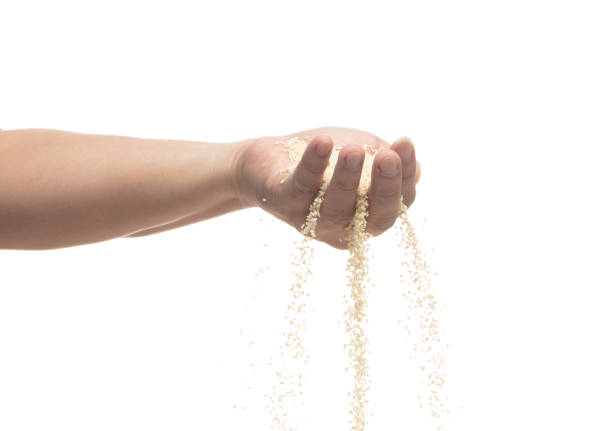 istock White Sesame pouring down from hand fingers, white Sesame grain wave floating, fall in air. Basil seed is organic healthy food. White background Isolated high speed shutter, freeze stop motion 1455118953