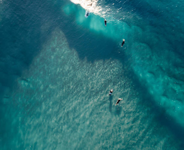 istock Surfers are seen from above in blue pristine ocean water 1455134654