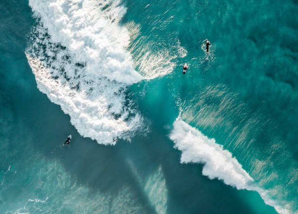 istock Surfers are seen from above in blue pristine ocean water 1455134742