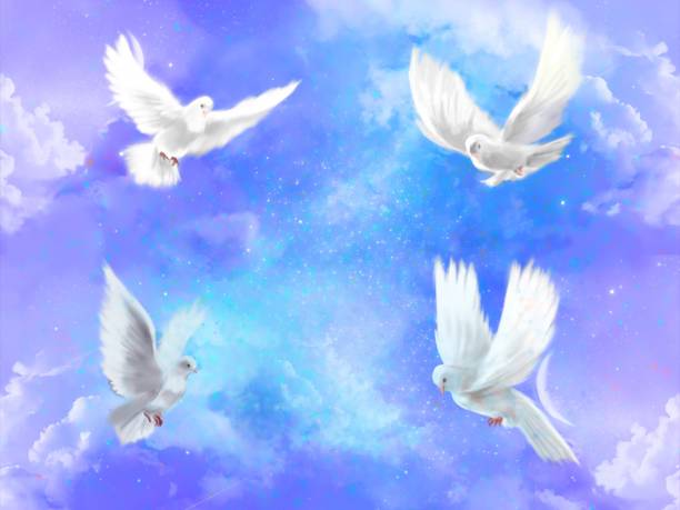 별이 빛나는 우주를 통해 우호적으로 날아가는 평화의 상징, 흰 비둘기 판타지 배경의 클립 아트. - amicably stock illustrations