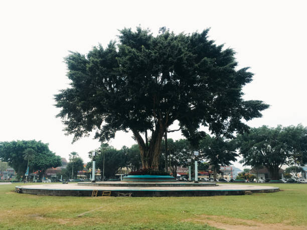 istock I love Magelang City Icon 1455136862
