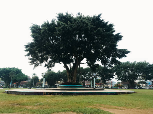 istock I love Magelang City Icon 1455136865