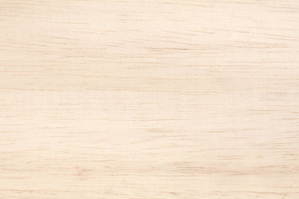 istock Plywood texture background, wooden surface in natural pattern for design art work. 1455137594