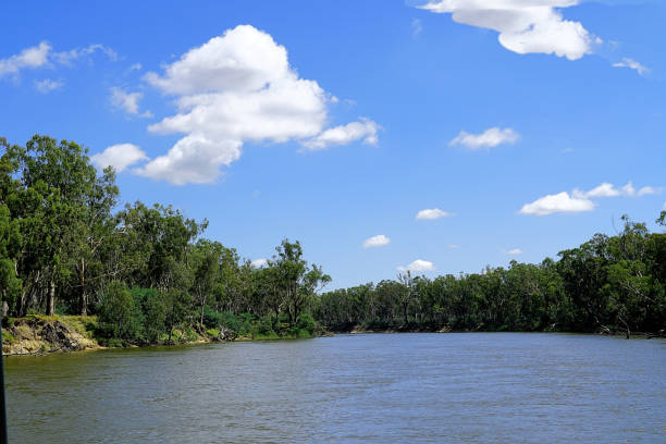 istock Cobram, Victoria, Australia 1455140036