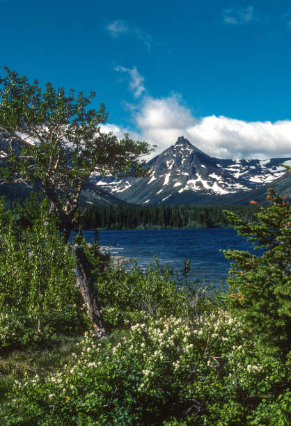Glacier NP - Two Medicine Lake Vertical - 1989