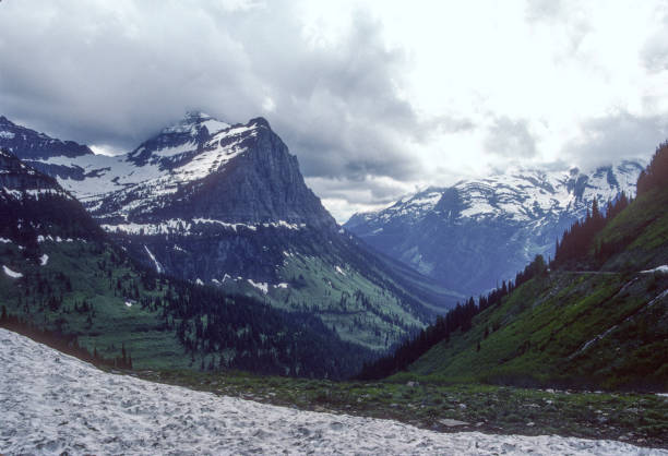 istock Glacier NP - Going to the Sun Road Mountains - 1989 1455144590