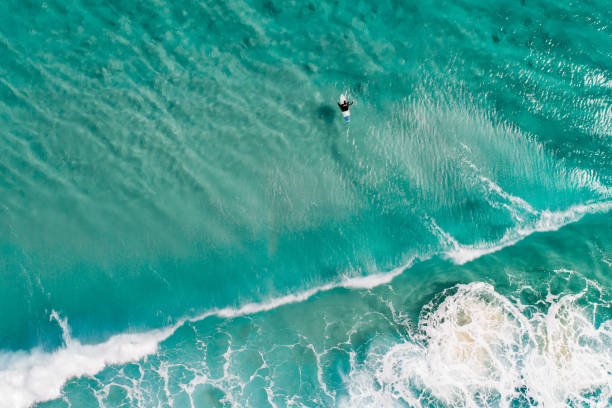 istock Surfers are seen from above in blue pristine ocean water 1455145504