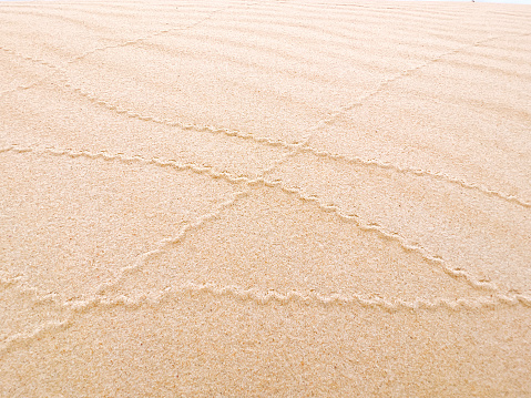 Horizontal landscape photo of wriggling animal tracks and wind patterns on a sand dune at Lake Tabourie, popular Summer destination on the south coast of NSW.