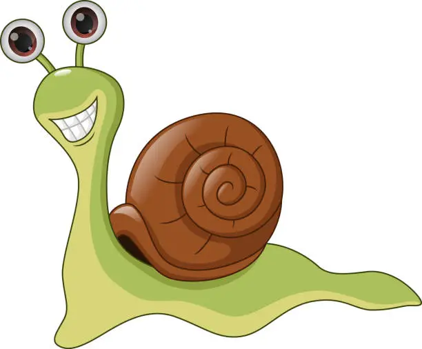 Vector illustration of Cute snail cartoon on white background