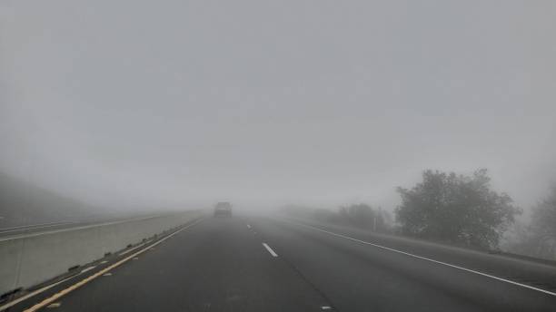 istock Deep fog on the road 1455145886