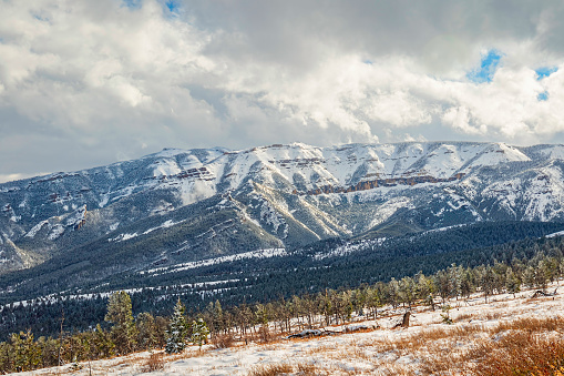 Snow covered mountain in Shoshone National Forest after a winter storm with trees in the foreground