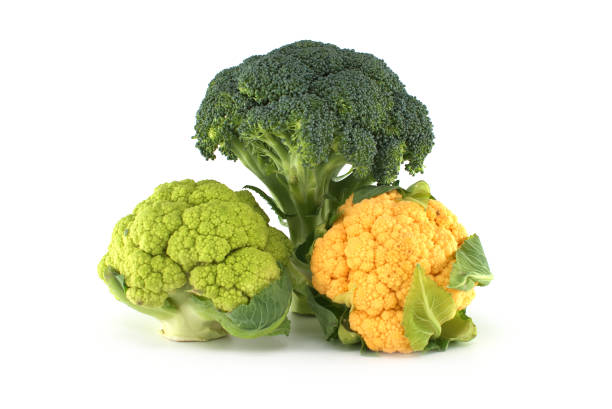 istock Colorful cauliflower cabbages on white 1455148838