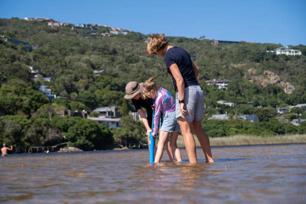 Collecting prawns for fishing A family has fun collecting prawns in the shallow waters for bait to go fishing. Mother enjoying outdoor activities with her kids. george south africa stock pictures, royalty-free photos & images