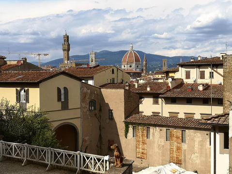 The famous Florence skyline viewed from Bardini garden, Tuscany.
