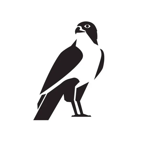 Vector illustration of falcon bird silhouette vector