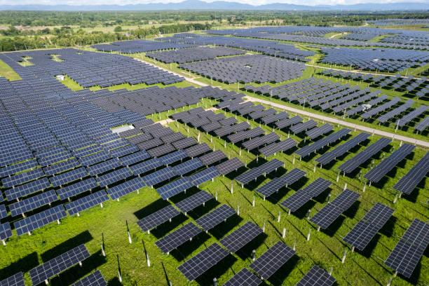 istock Top view Aerial view of Solar panel, photovoltaic, alternative electricity source 1455155193