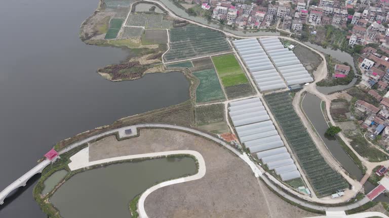 Modern agriculture and small town near the water