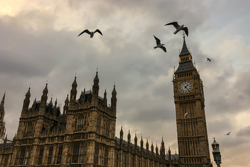 Low angle view of cloudy and dark sky above Westminster Palace and Big Ben clock tower with birds flying in sky.