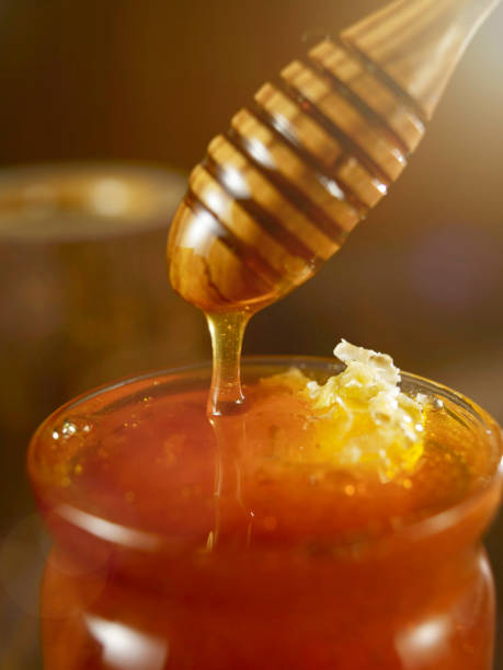 Honey stock photo