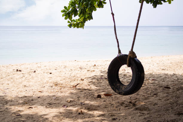 istock Wheel Car Swing under Branch Tree on Sand Beach Blur Blue Sea and Blue Sky 1455161993